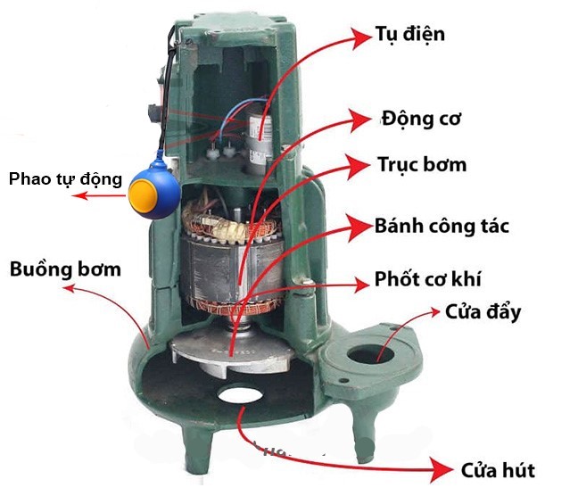 Cau-tao-may-bom-chim-tom