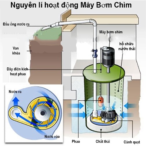 Nguyen-li-hoat-dong-may-bom-chim