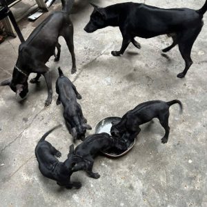 Z7240372219880_2ecd9b72111d2833f3ef64bf4b24fcdd