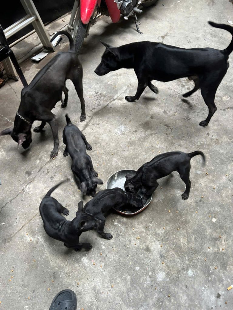 Z7240372219880_2ecd9b72111d2833f3ef64bf4b24fcdd