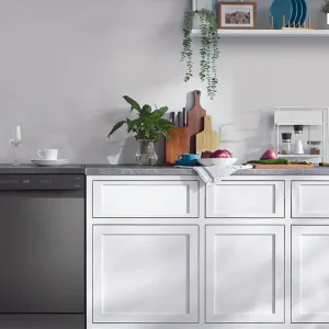 May-rua-chen-doc-lap-hafele-hdw-f601g_2