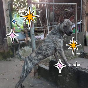 466359611_538962555760020_6867155833676740148_n