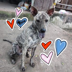 484180283_627605176895757_6143244288128613894_n