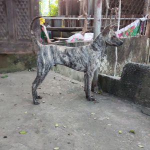 488525060_645449311778010_3546420645347947292_n