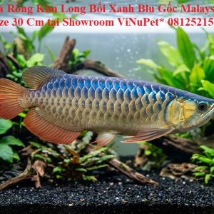 614319df-17e0-4853-971e-e4822c3fc7f2