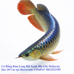 95aea646-4522-4f92-9f15-ca0fc77fe059