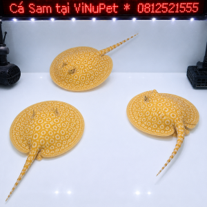 4b0ccbbb-a7e2-4831-8129-022b6ea8cdcd